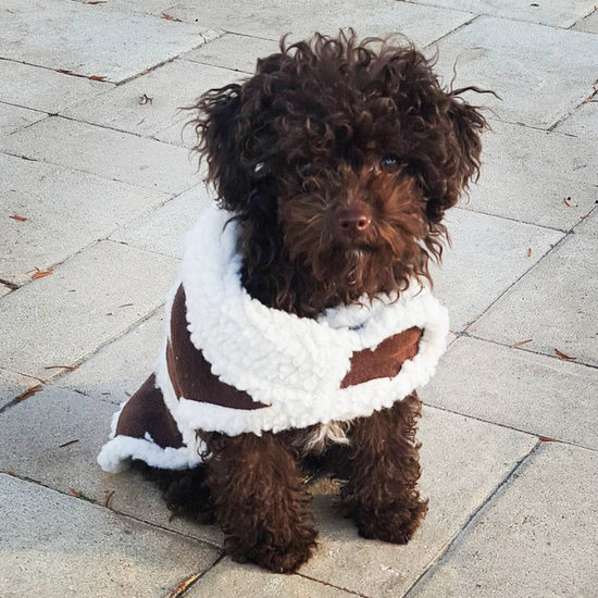 drita-davanzo drita-davanzo