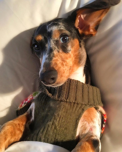 fredrik-eklund fredrik-eklund