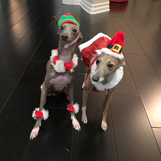 kylie-jenner kylie-jenner