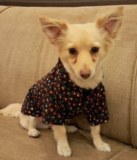 meri-brown meri-brown