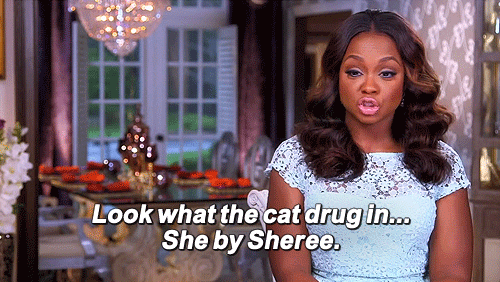 Phaedra-Parks-GIF11 Phaedra-Parks-GIF11