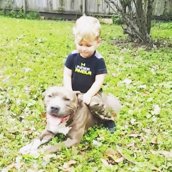 Reality TV Stars Family Pics - Jenelle Evans son Kaiser sits on dog