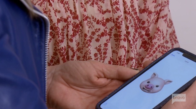 Kelly Dodd Pig Animoji Real Housewives Of Orange County Kelly Dodd Pig Animoji Real Housewives Of Orange County