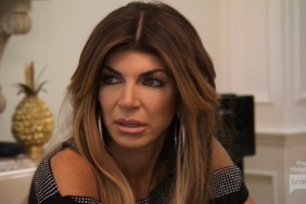 Teresa Giudice Real Housewives Of New Jersey