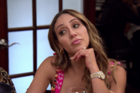 Melissa Gorga Real Housewives Of New Jersey