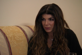 Teresa Giudice Real Housewives Of New Jersey