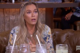 Real Housewives Of Beverly Hills Teddi Mellencamp