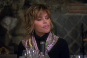 Lisa Rinna Real Housewives Of Beverly Hills