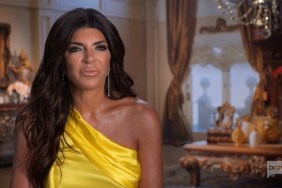 Teresa Giudice Real Housewives Of New Jersey