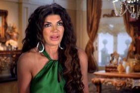 Teresa Giudice Real Housewives Of New Jersey