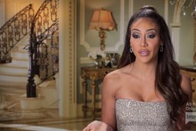 Melissa Gorga Real Housewives Of New Jersey