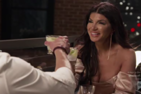 Teresa Giudice Real Housewives Of New Jersey