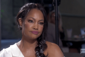 Garcelle Beauvais Real Housewives Of Beverly Hills