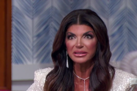 Teresa Giudice Real Housewives Of New Jersey