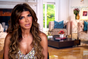 Teresa Giudice Real Housewives Of New Jersey