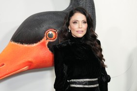 Bethenny Frankel on her relationship with Bryn Hoppy.