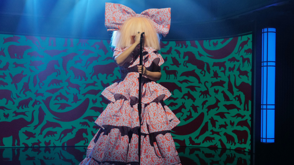 Sia divorce custody baby husband