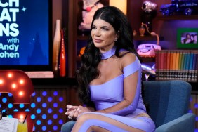 Teresa Giudice fired Bravo