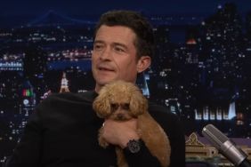 Orlando Bloom dog