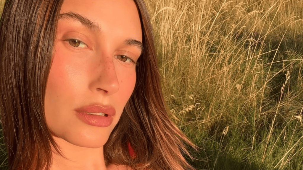Hailey Bieber top