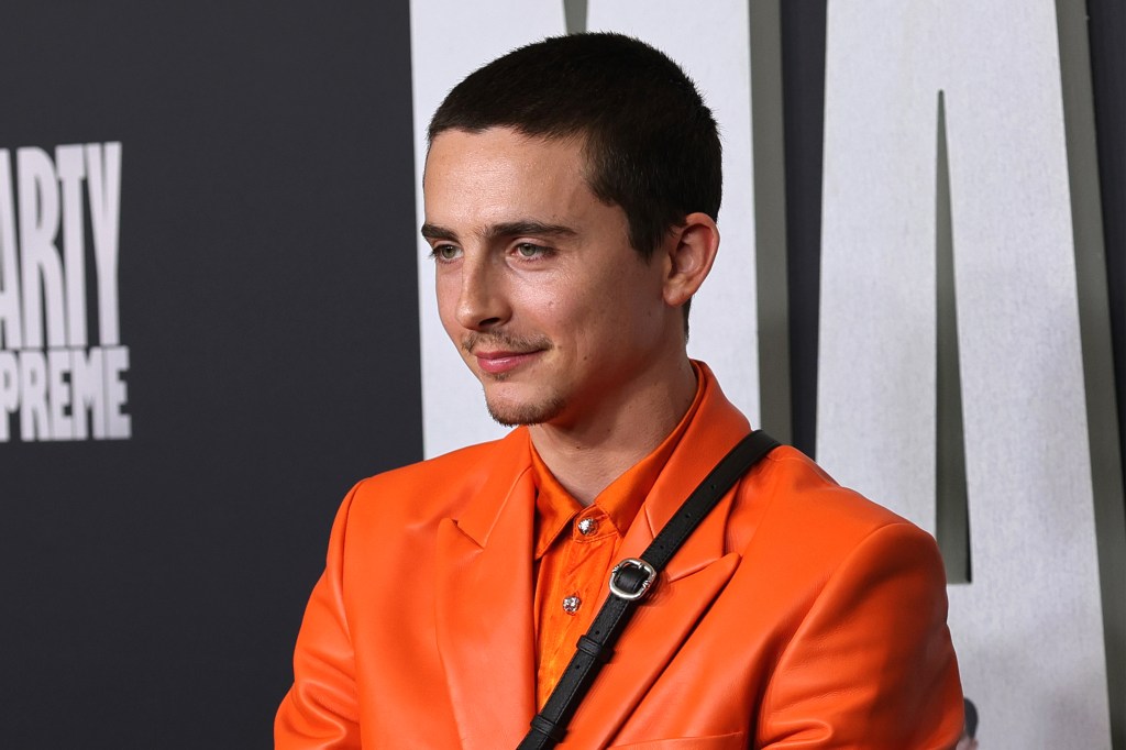 Timotheé Chalamet